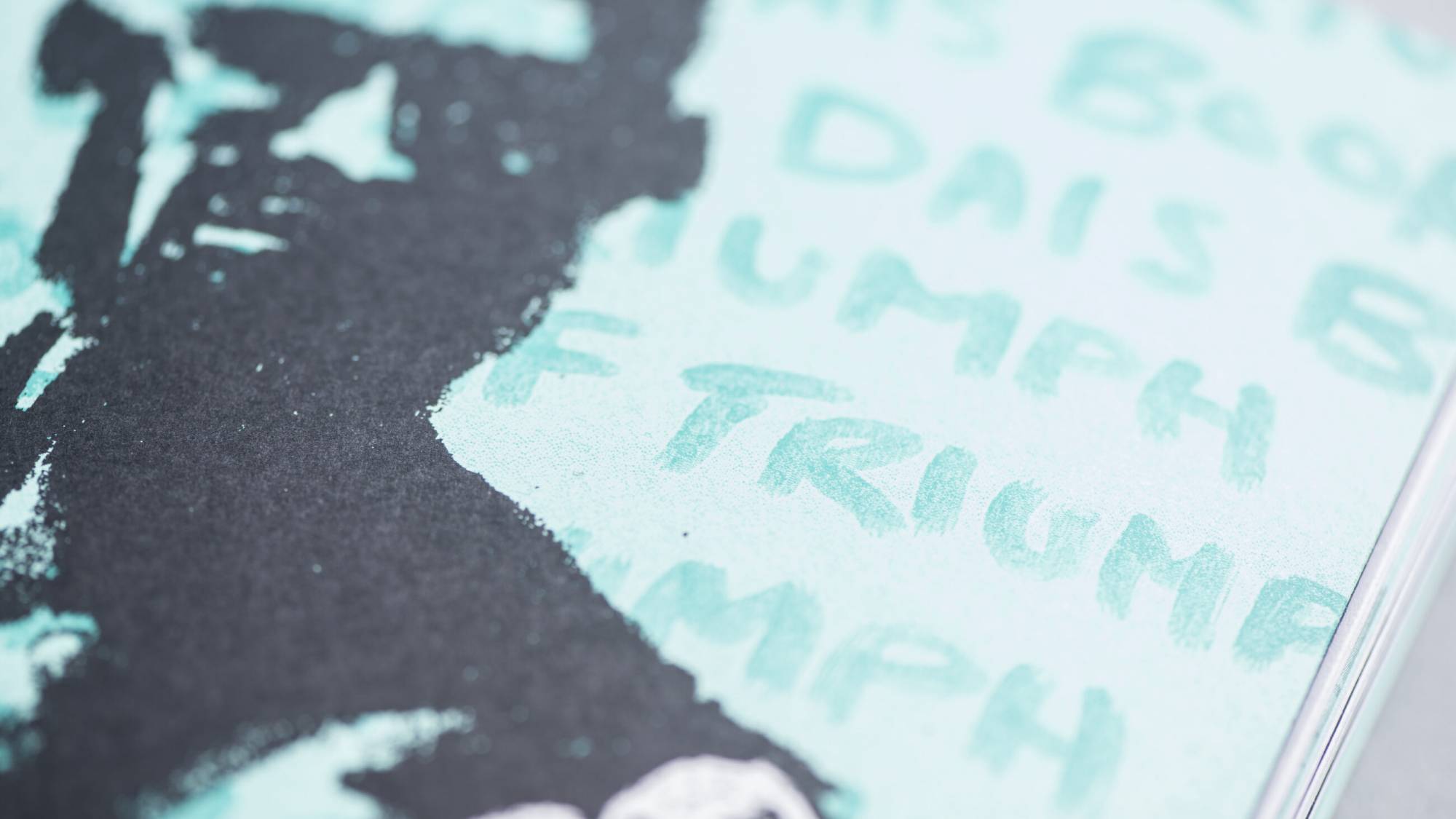 DAIS - Ten Year Project (2010 - 2019) Photo internal spreads of book