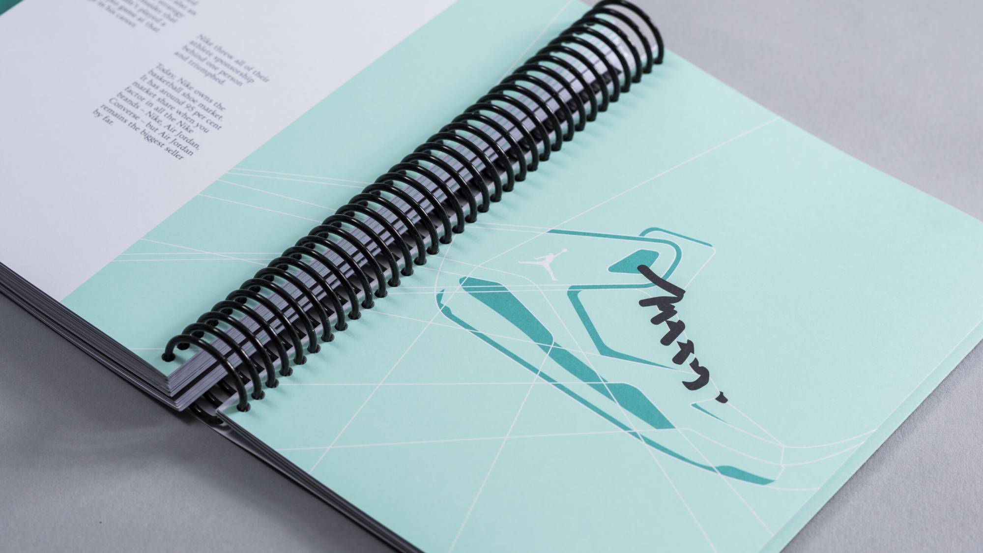 DAIS - Ten Year Project (2010 - 2019) Photo internal spreads of book