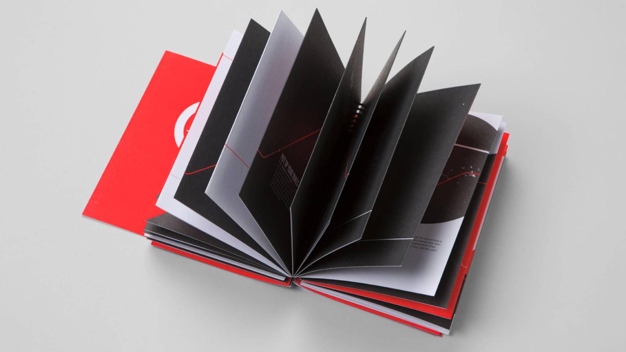 DAIS - Ten Year Project (2010 - 2019) Photo internal spreads of book