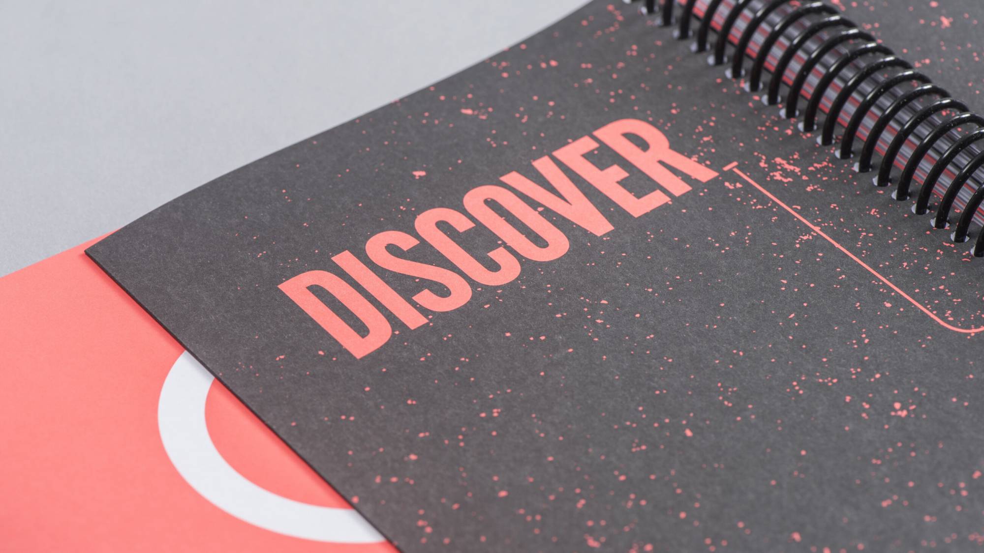 DAIS - Ten Year Project (2010 - 2019) Photo internal spreads of book