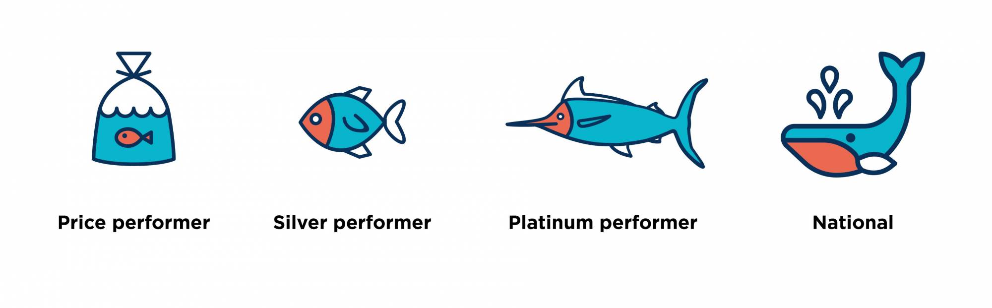 customer experience and communication strategy