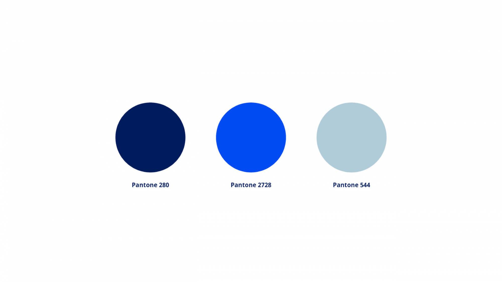 Colour palette for corporate rebrand strategy - navy, cobalt blue, light blue/grey