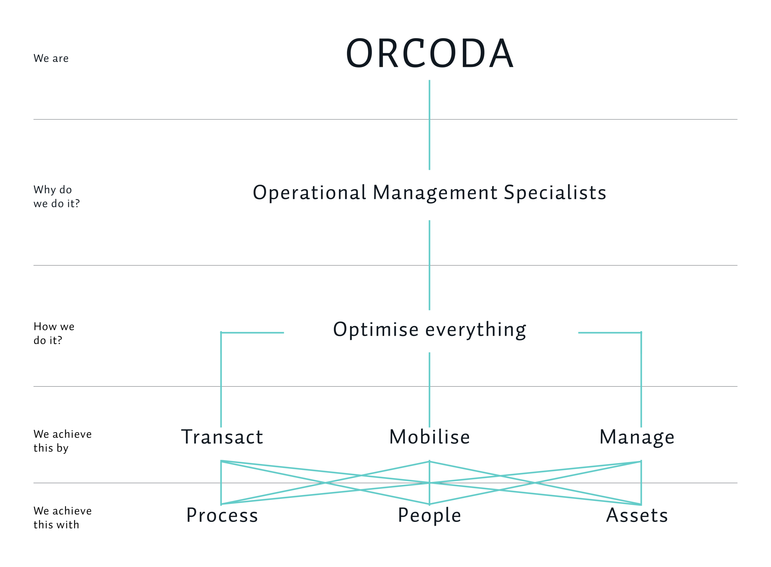Orcoda - Case study infographic and brand merger