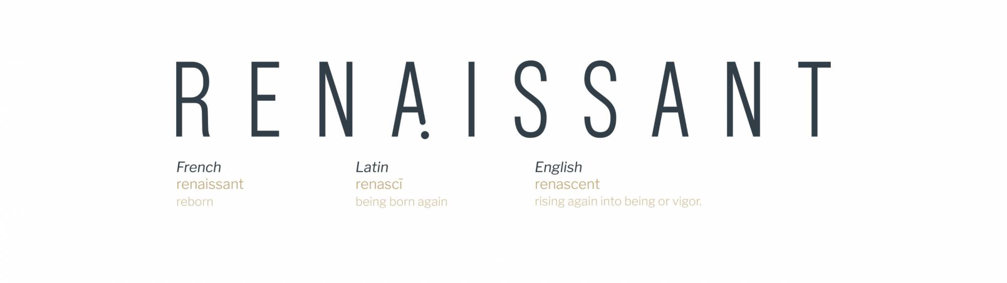 Renaissant definition on white background
