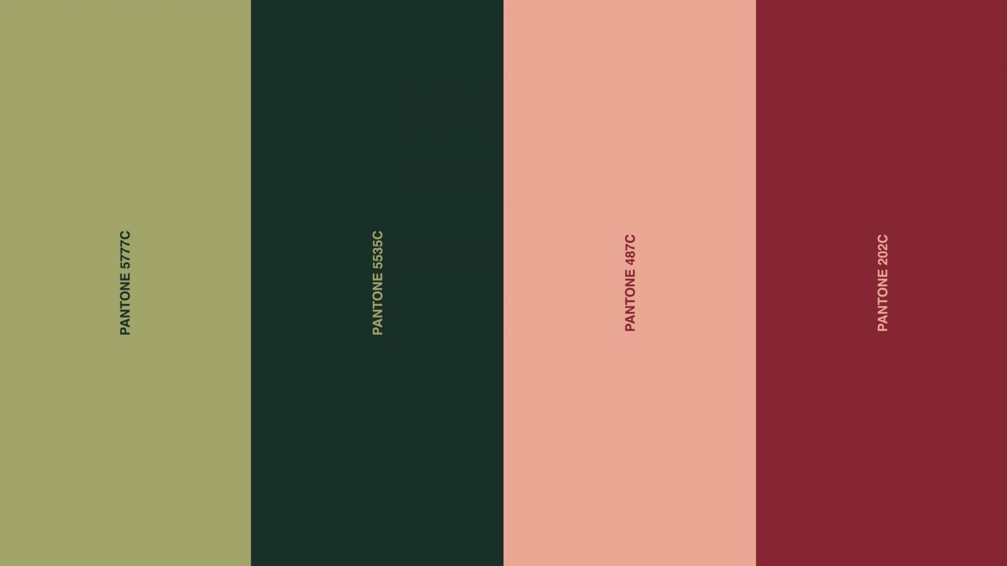 Colour palette for The Terrace, new sub-brand