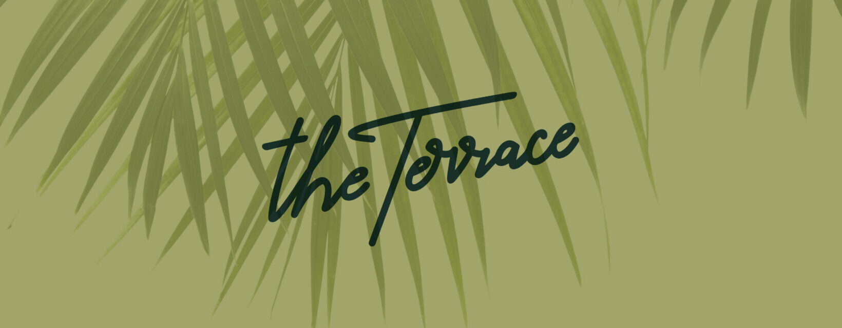 The terrace web banner with shadow of plants