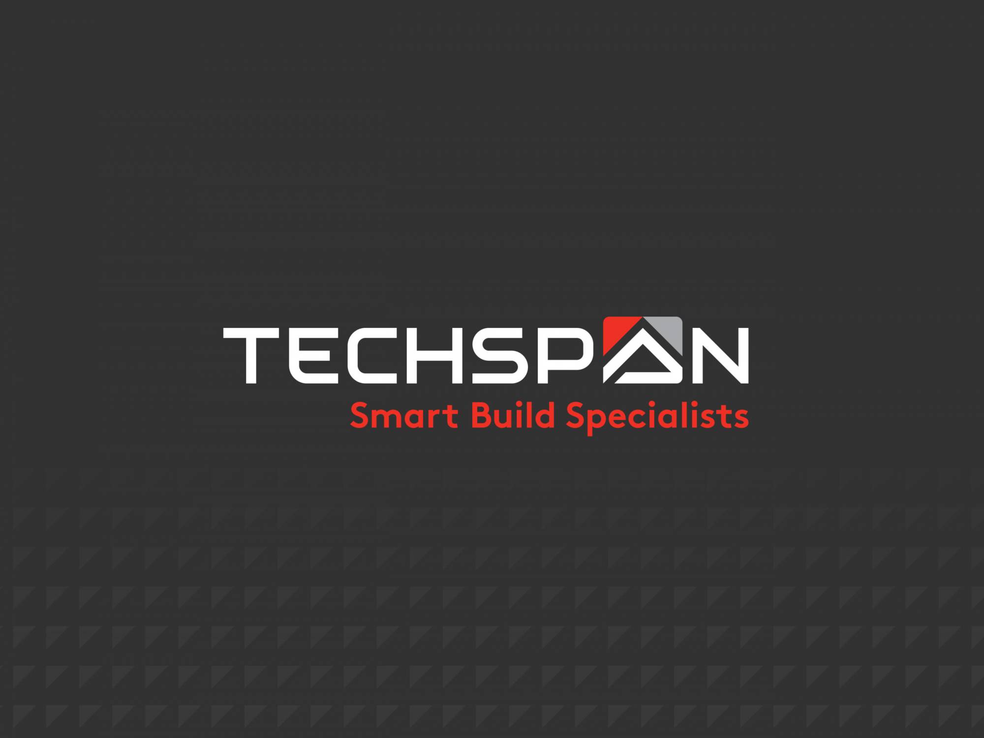 Techspan Logo-corporate identity on dark grey background