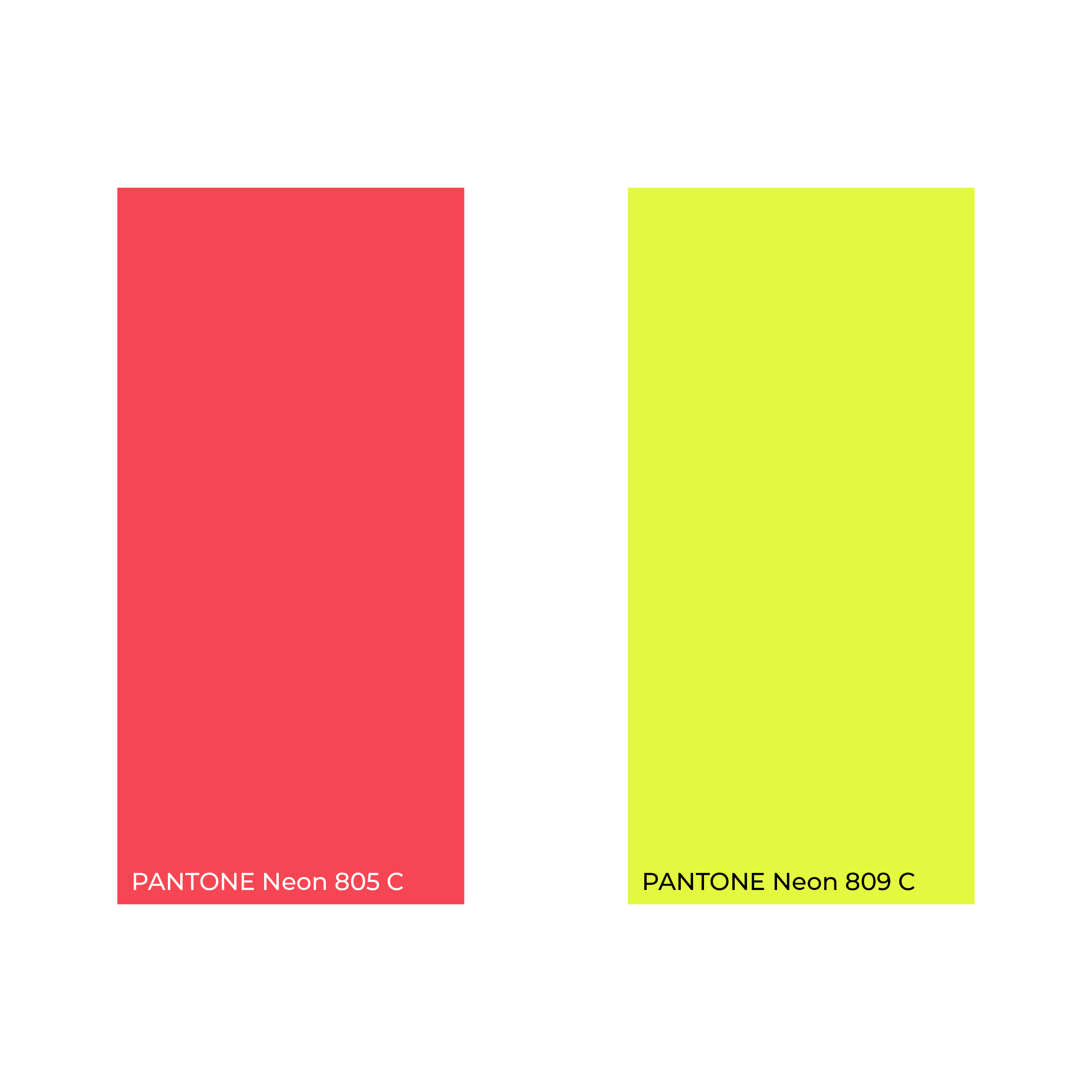 NOFOMO colour palette-unique brand identity