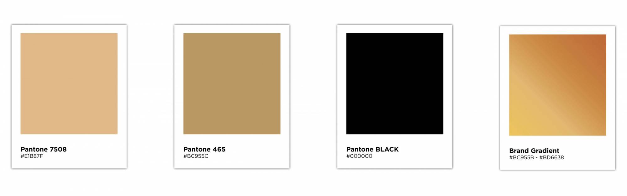 Wynnum Manly Leagues club brand colour palette for rebranding