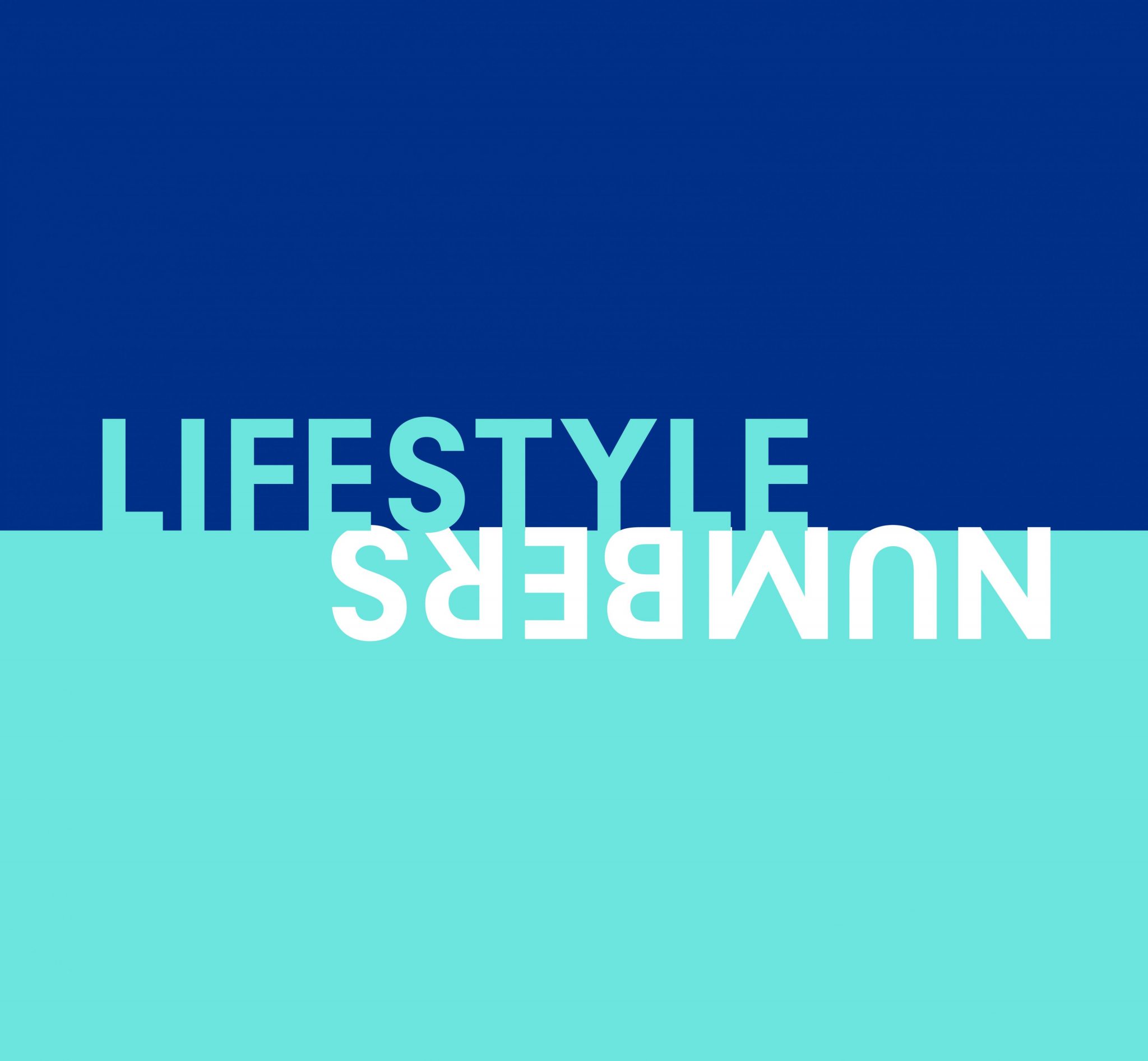 brand strategy language of lifestyle numbers - two tone blue design