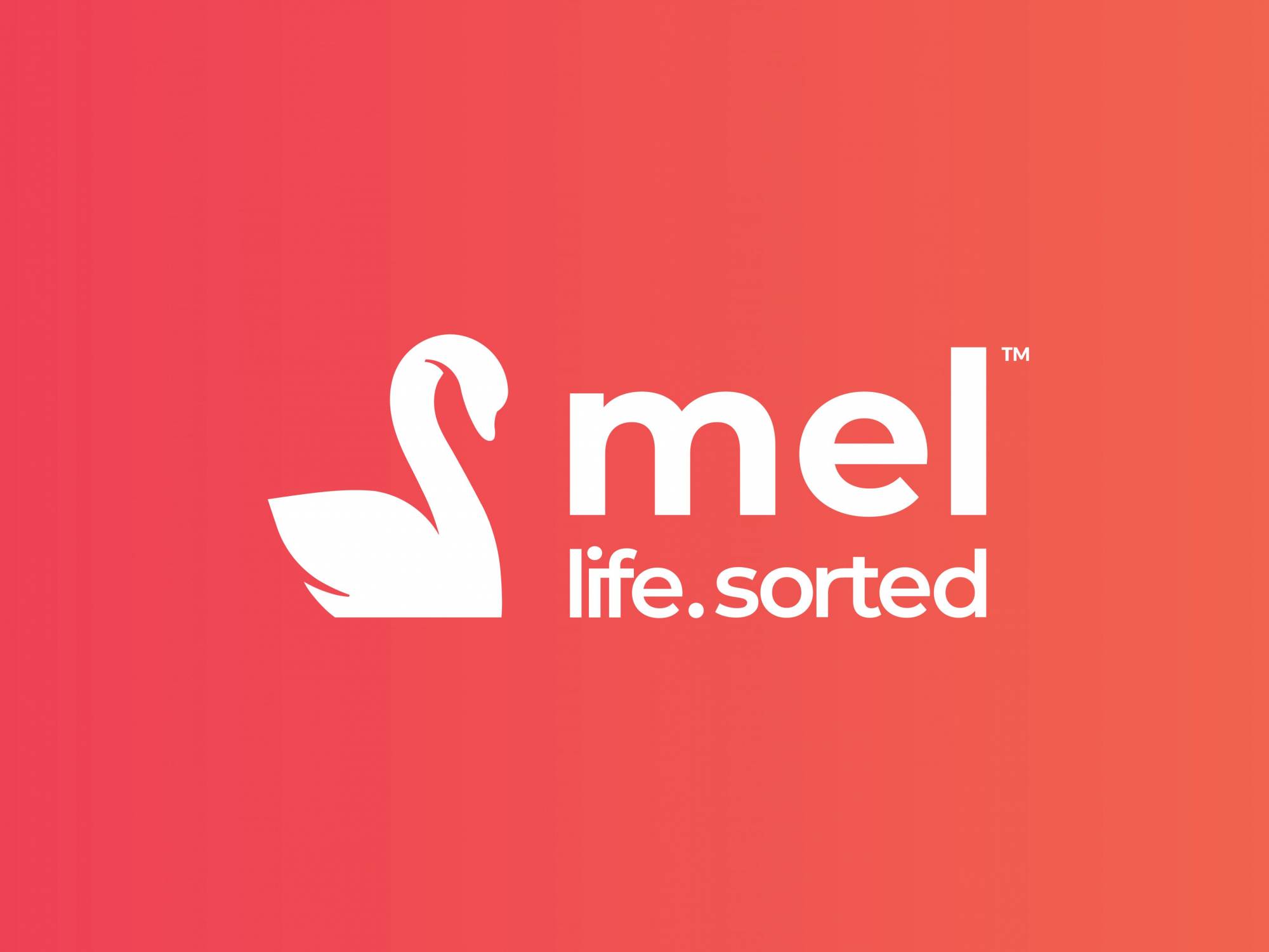 mel brand identity designed by brand agency DAIS pro bono project