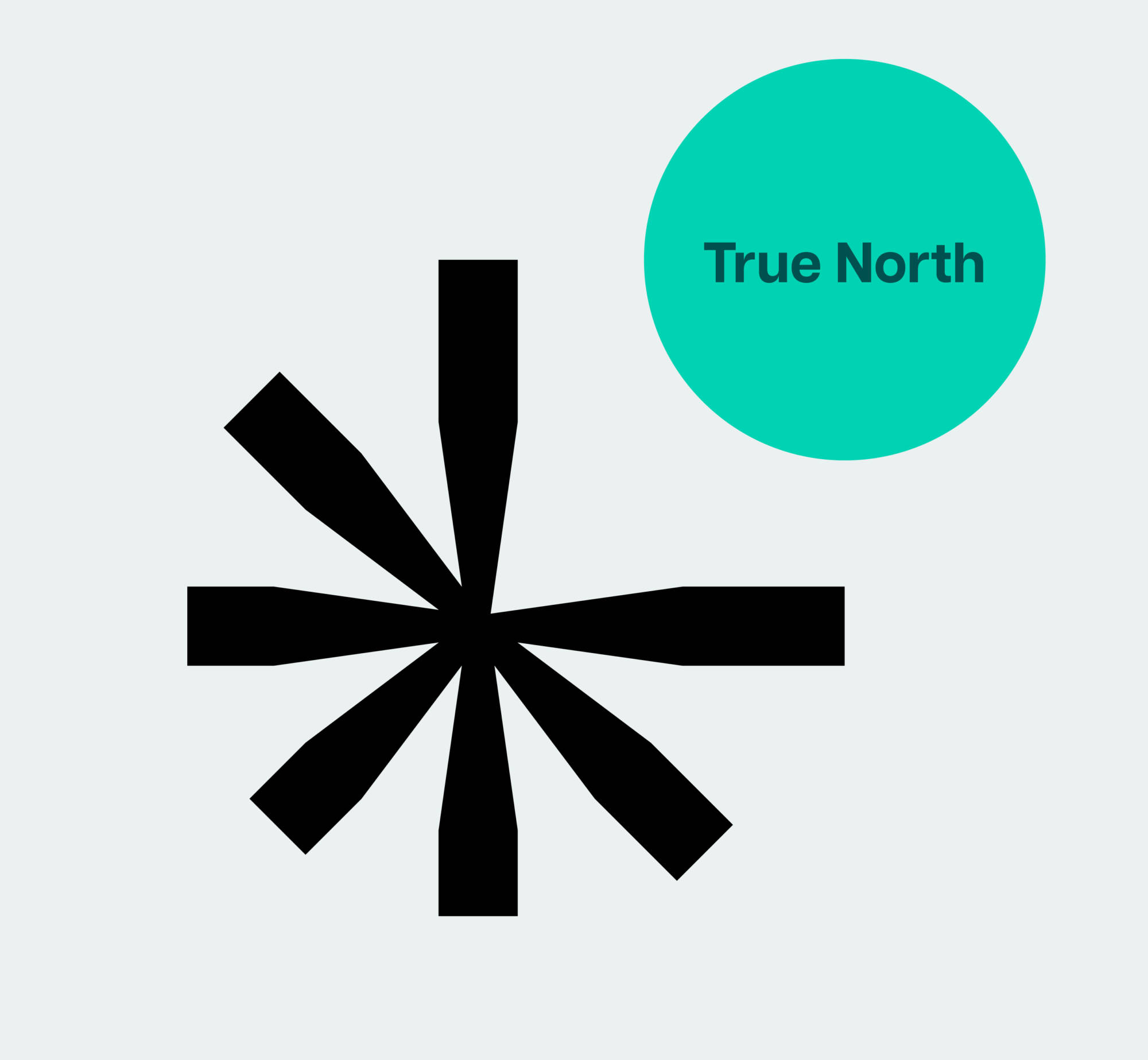 true north graph that ties into the Nestworth brand icon
